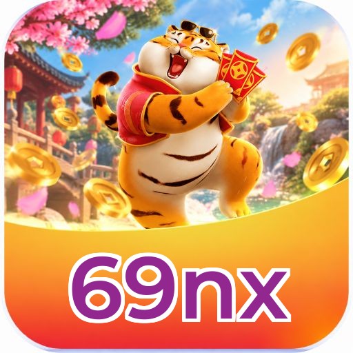 69nx Interface